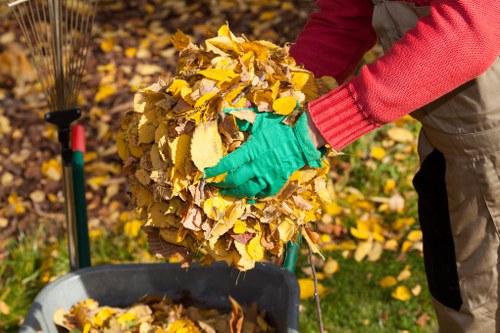 Professional garden clearance in Enfield