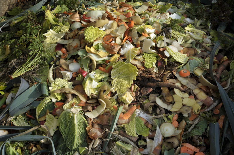 waste collection Waste